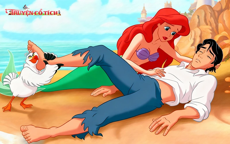 Nàng tiên cá yêu mến Hoàng Tử